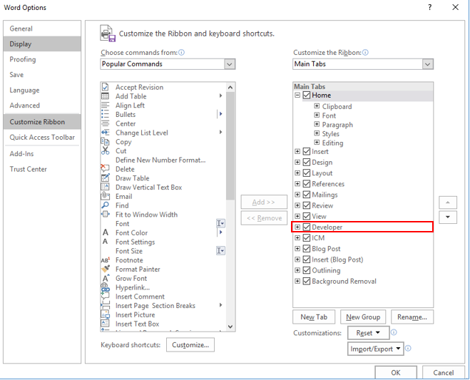 Selecting Developer Menu in Word